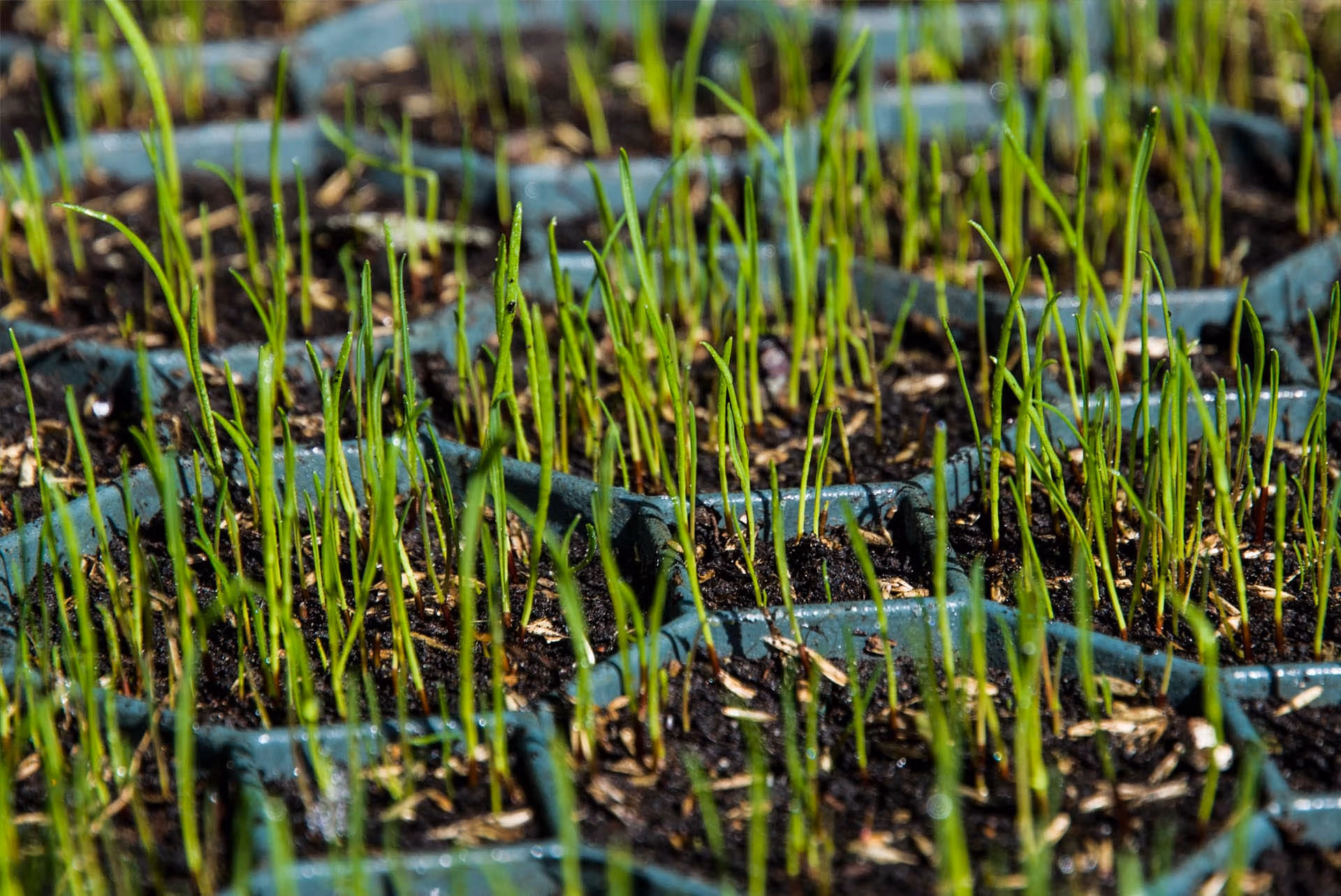 elite-grass-grid-composite-alternative-ground-reinforcement-stabilisation-grass-filling-outdoor