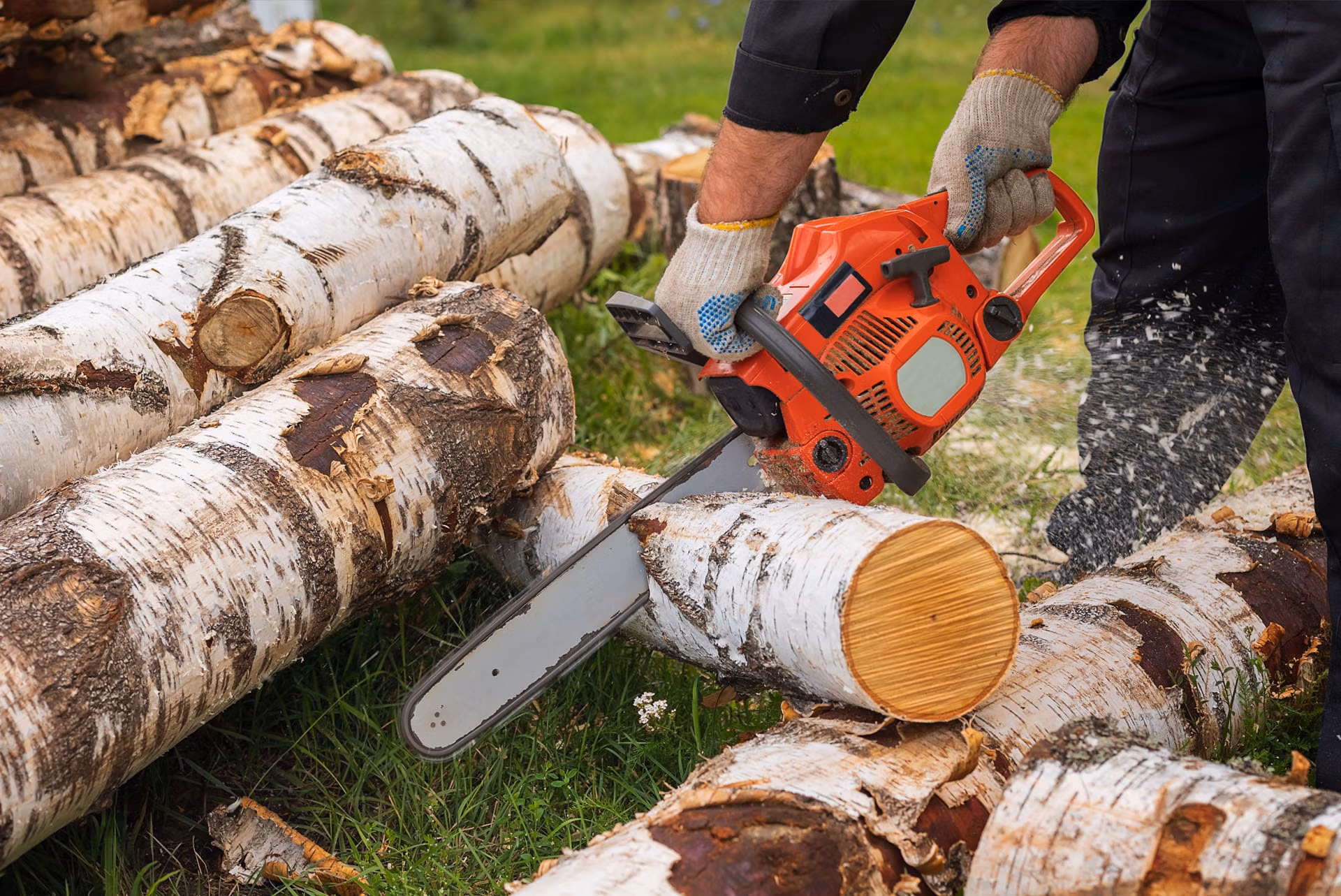 sawn-and-treated-timber-rough-sawn-man-logs